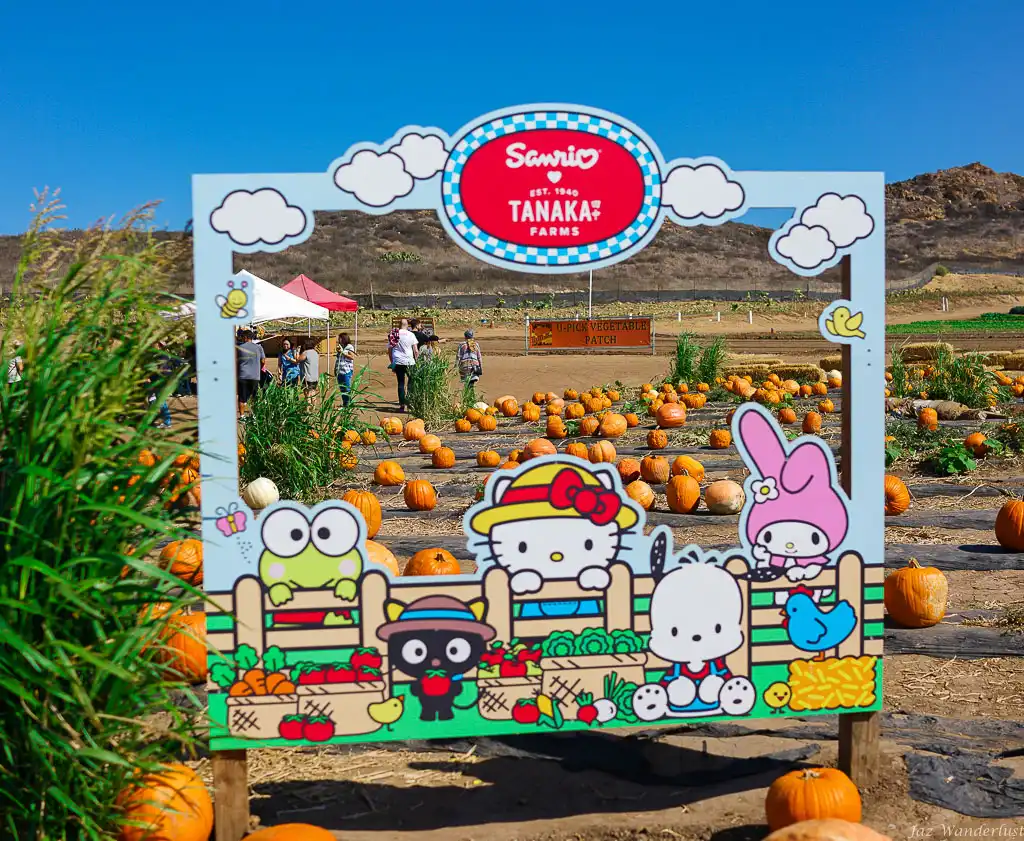 tanaka-farms-corn-maze-7