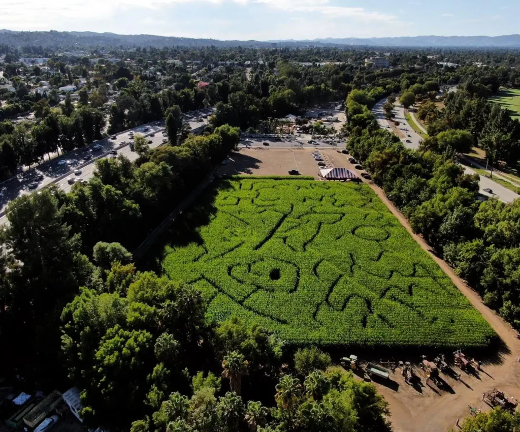 tapia-bros-farm-maze-3