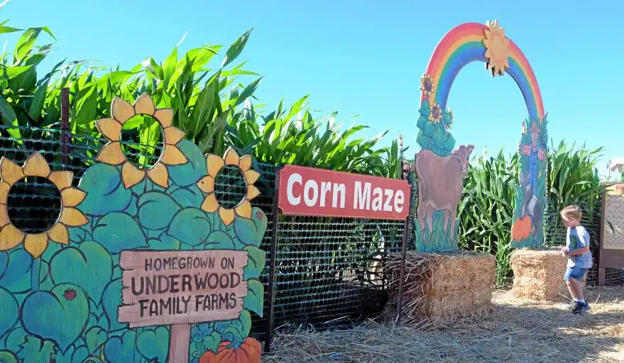underwood-family-farms-maze-12