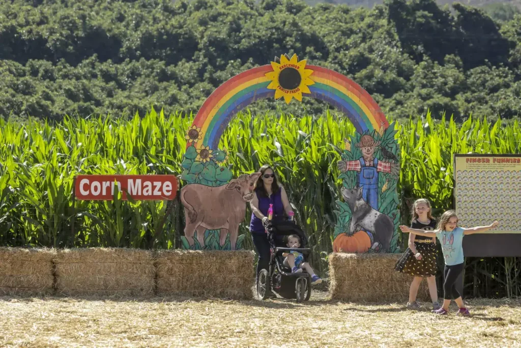 underwood-family-farms-maze-5