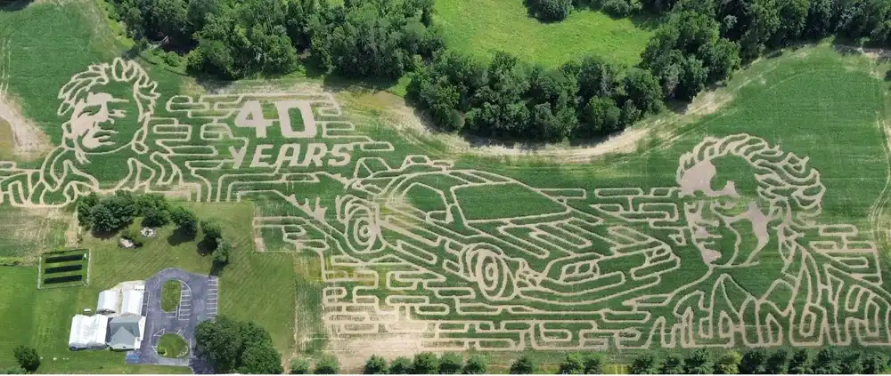 wheeler-farms-maze-1