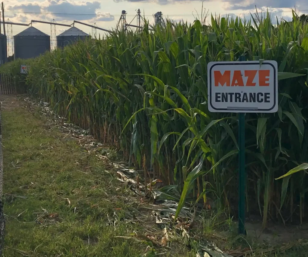 cullipher-farm-corn-maze-11