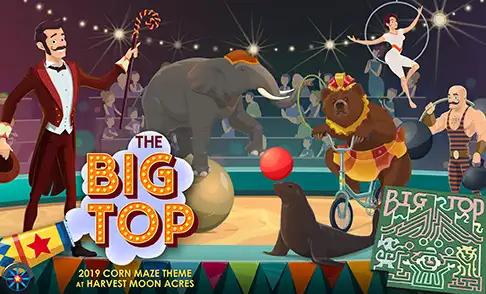harvest-moon-acres-corn-maze-10