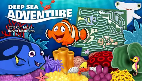 harvest-moon-acres-corn-maze-12