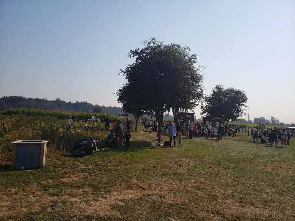 swan-trail-farms-corn-maze-11