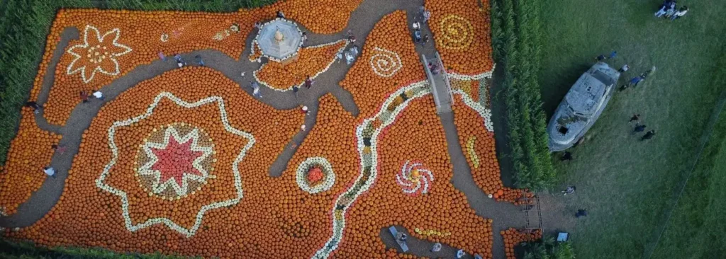 swan-trail-farms-corn-maze-13