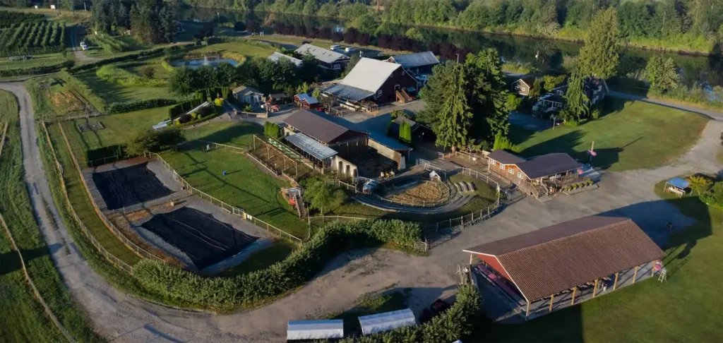 swan-trail-farms-corn-maze-13