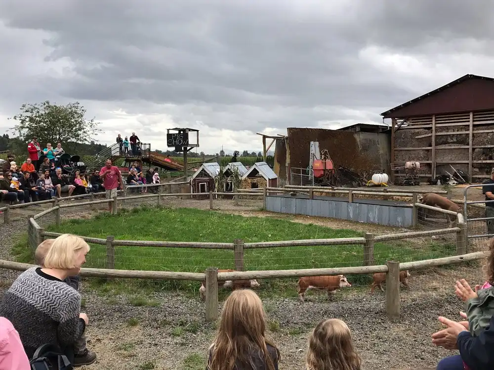 swan-trail-farms-corn-maze-9