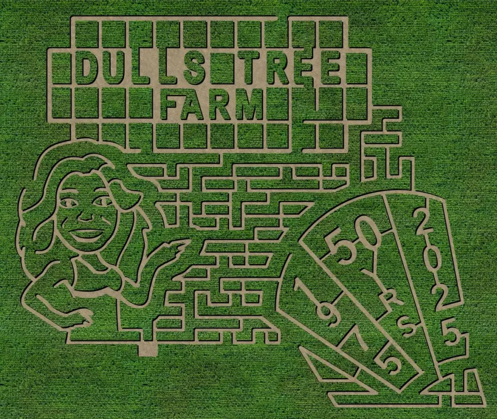 dulls-farm-corn-maze-1