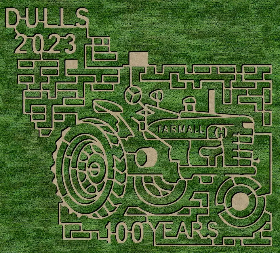 dulls-farm-corn-maze-6