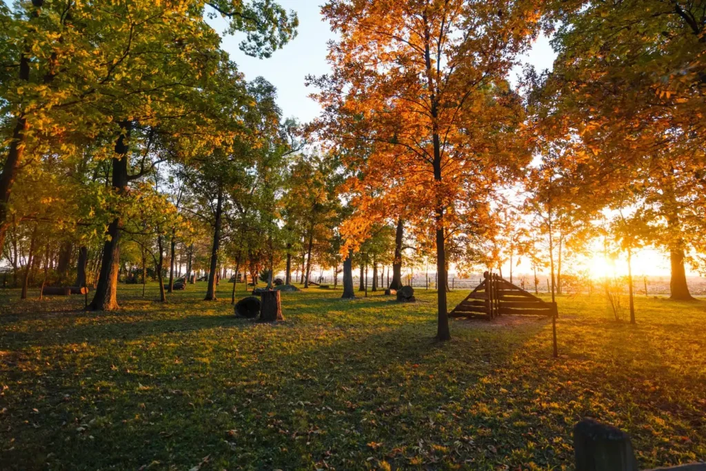 exploration-acres-corn-maze-115