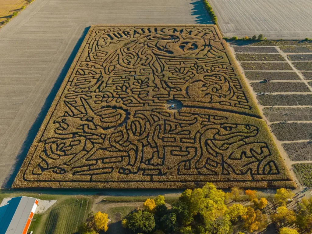 exploration-acres-corn-maze-16