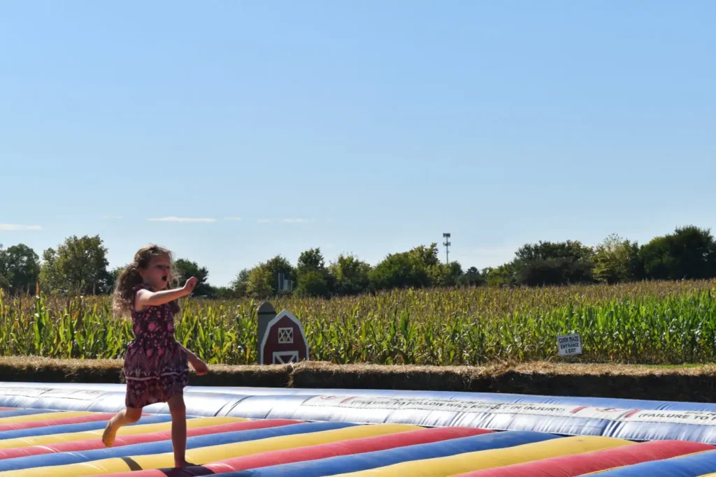 kelsay-farms-corn-maze-8