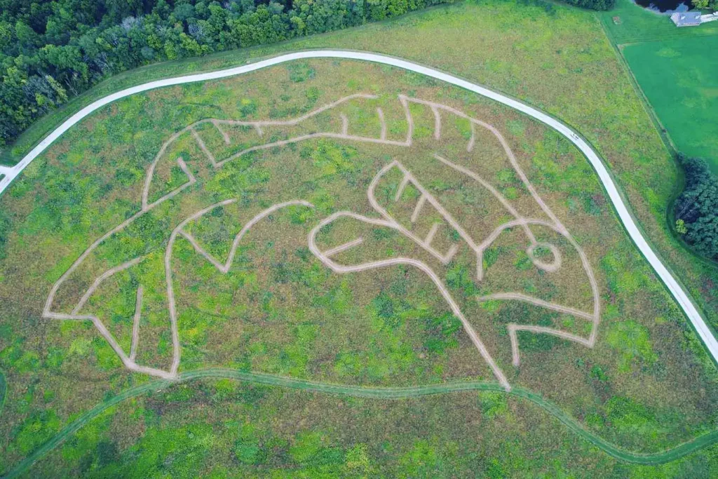 mccloud-prairie-maze-8