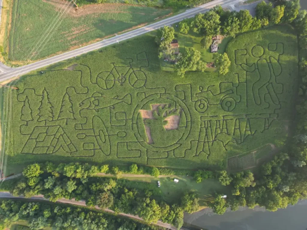 pine-creek-corn-maze-1
