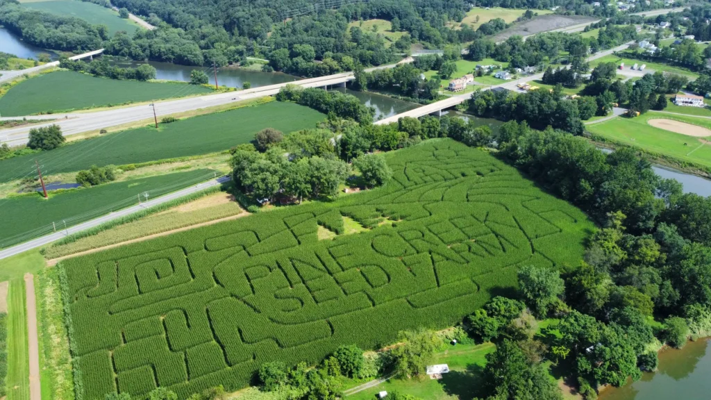 pine-creek-corn-maze-2