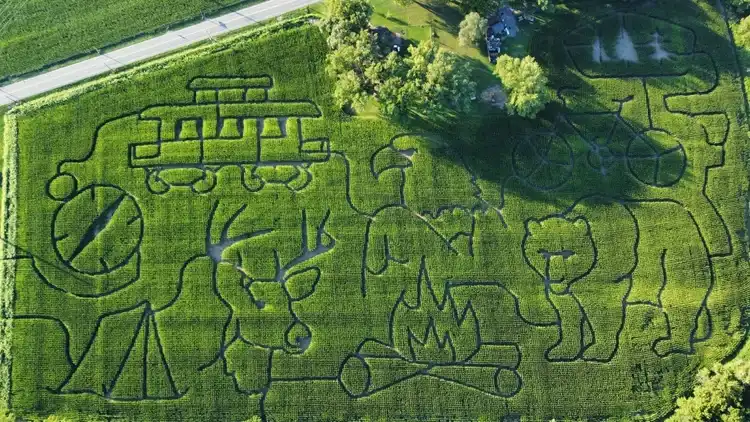 pine-creek-corn-maze-3