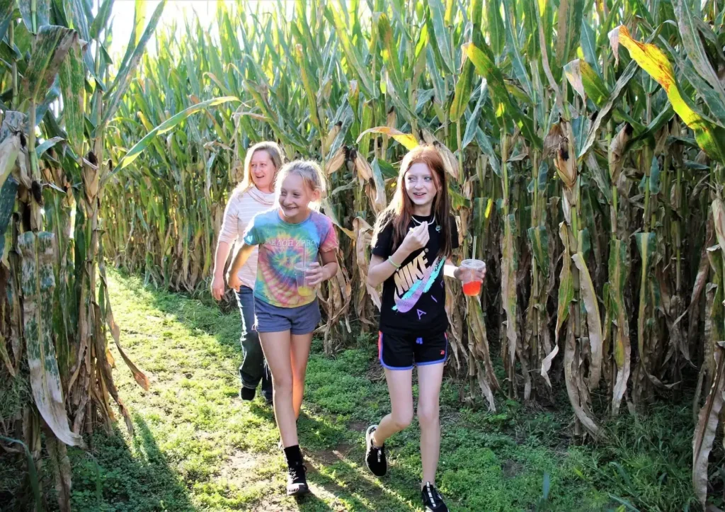 pine-creek-corn-maze-7
