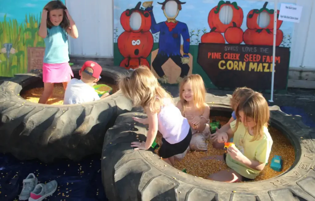 pine-creek-corn-maze-8