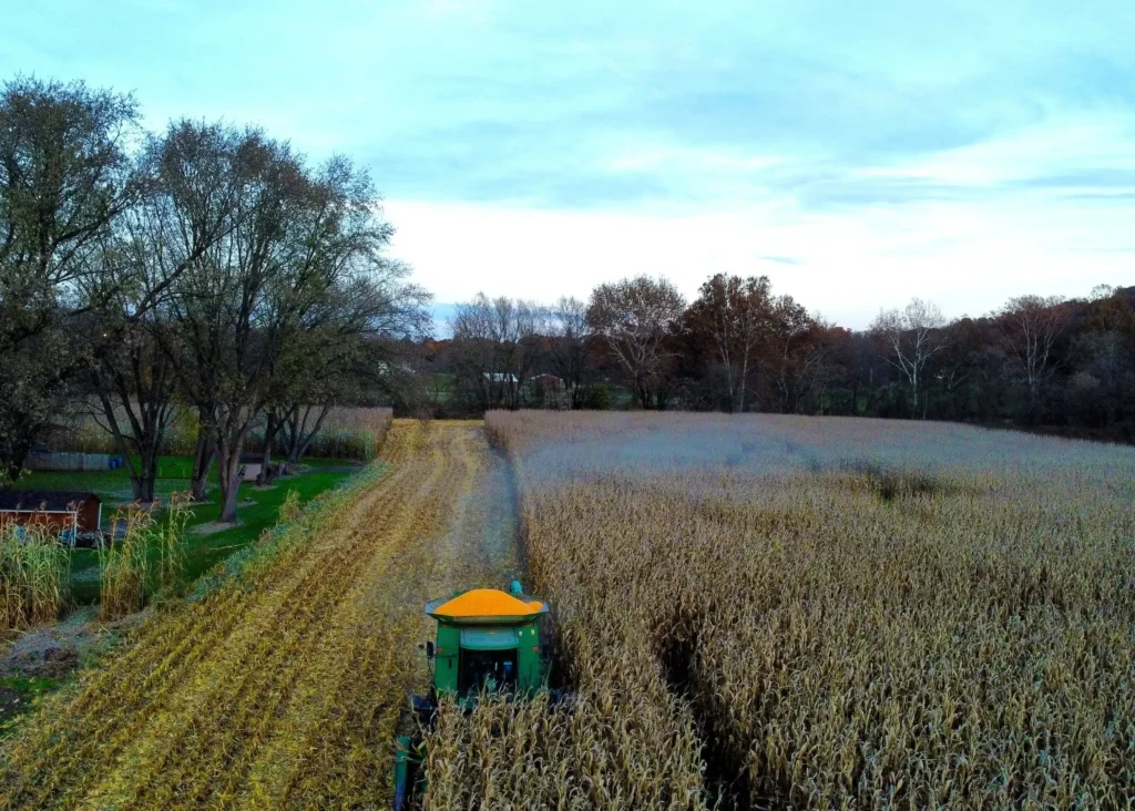 pine-creek-corn-maze-9