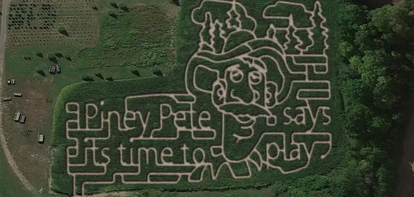 piney-acres-corn-maze-10