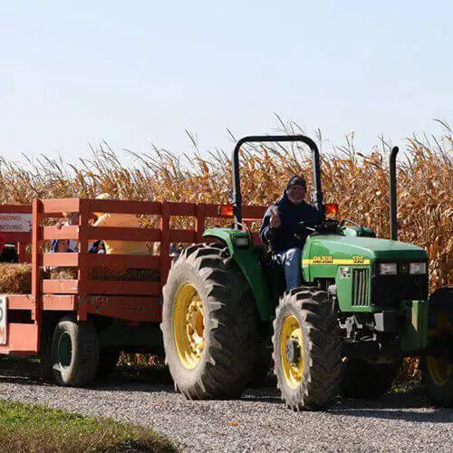 piney-acres-corn-maze-2