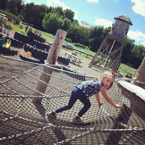 piney-acres-corn-maze-5