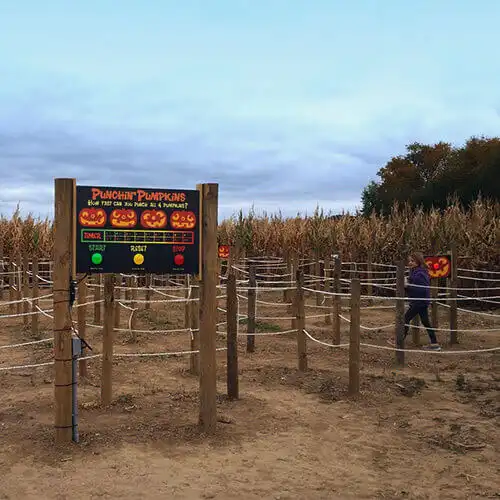 piney-acres-corn-maze-7