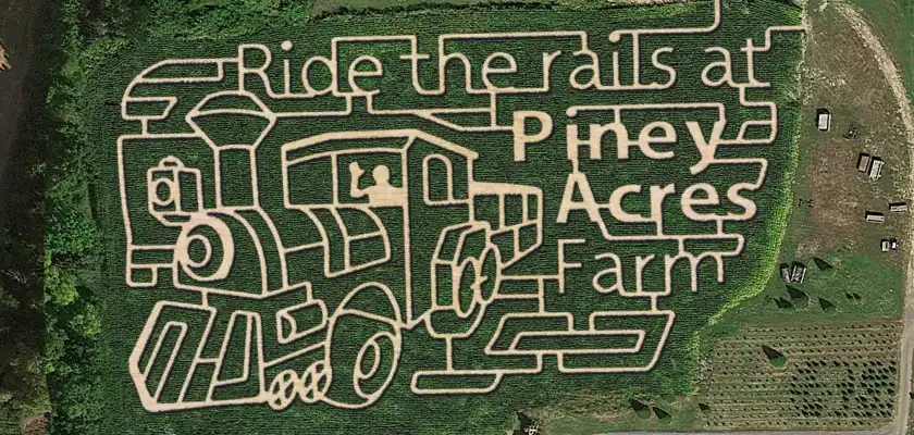 piney-acres-corn-maze-9