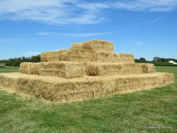 beasleys-orchard-corn-maze-13