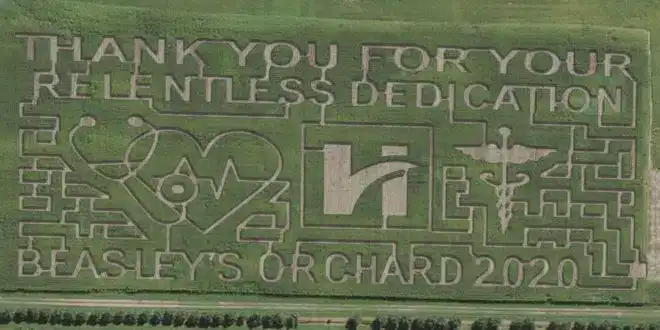 beasleys-orchard-corn-maze-2
