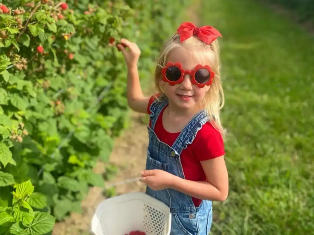 beasleys-orchard-corn-maze-7