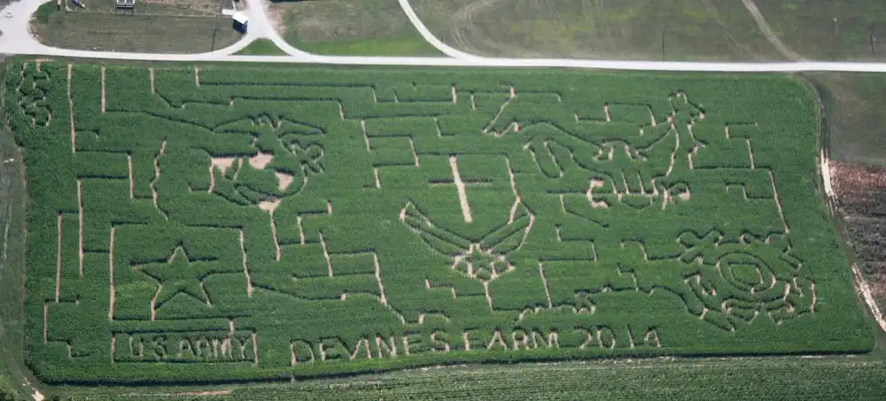 devines-corn-maze-6