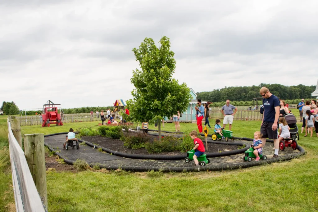 tuttle-orchards-corn-sunflower-maze-12