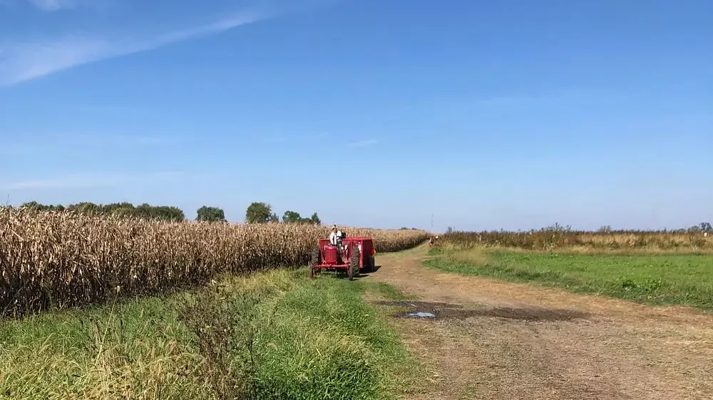 tuttle-orchards-corn-sunflower-maze-6